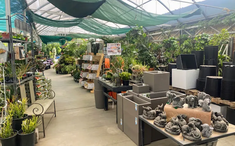 Fair Oaks Boulevard Nursery — Garden center