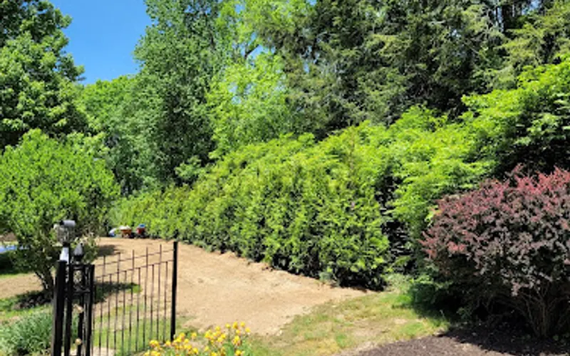 Rolys Landscaping — Landscaper