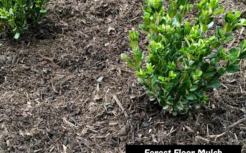 Aguinaga Green Inc. - Silverado — Mulch supplier