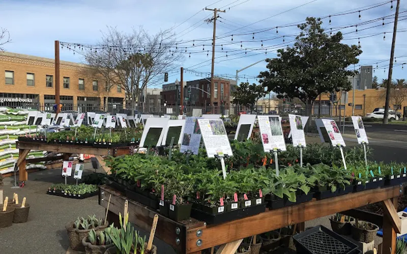 The Plant Foundry | Nursery & Store — Garden center