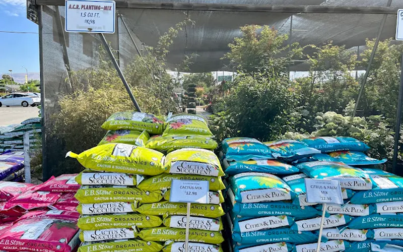 Payless Ace of San Jose — Hardware store