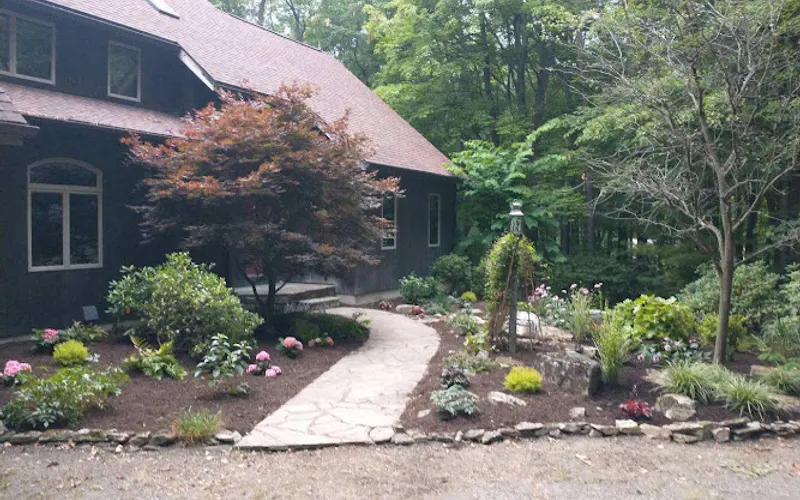 Cedar Springs Nursery & Landscaping — Plant nursery