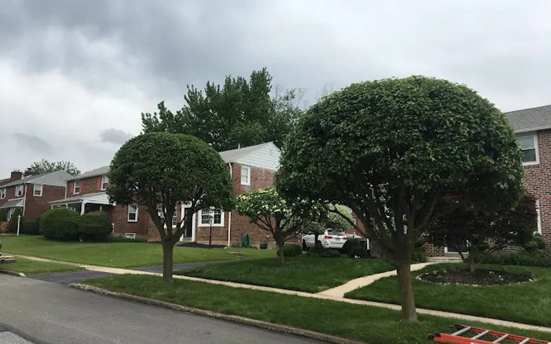 JTS Landscaping LLC — Lawn care service