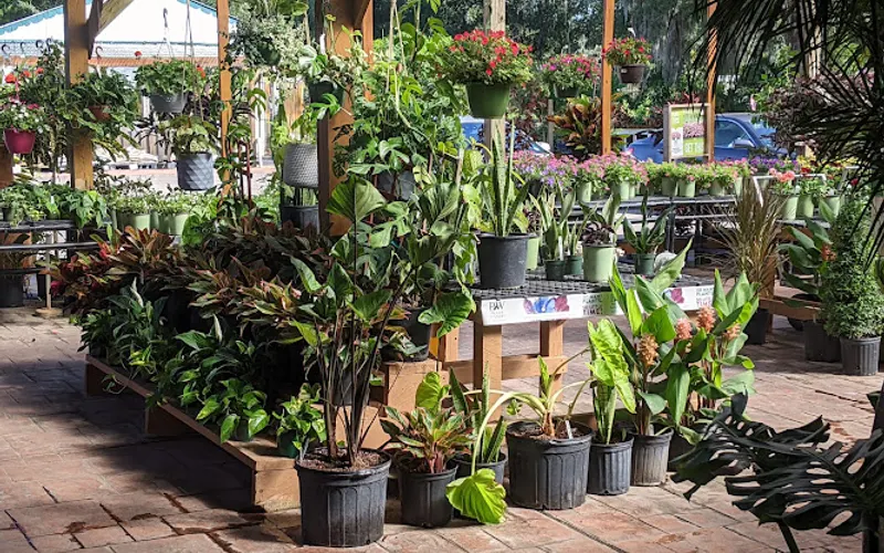 Green Thumb Nursery — Landscaper
