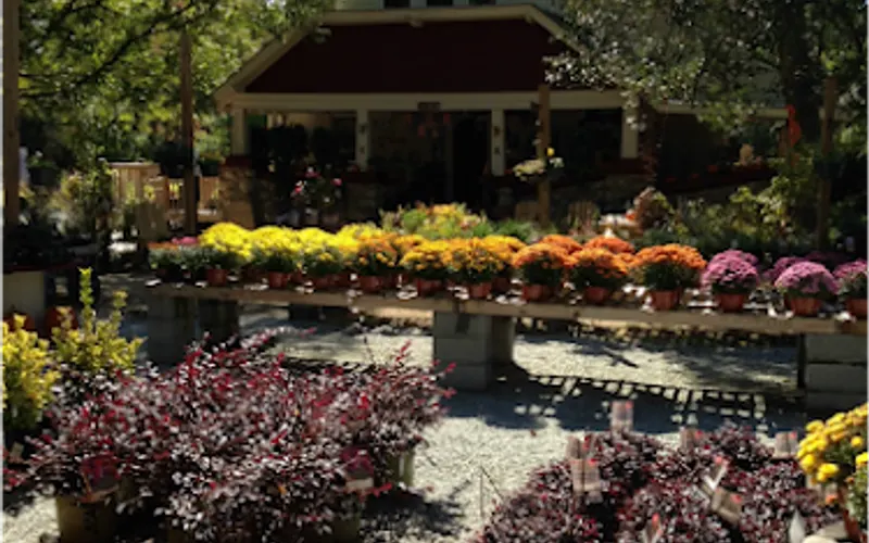 Down Home Garden Center & General Store — Garden center