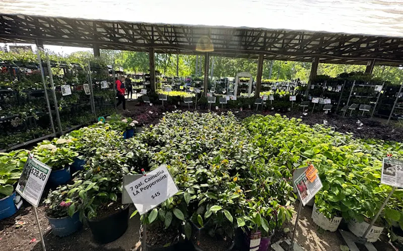 Grower's Outlet LLC — Plant nursery