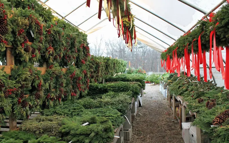 Village Green Nurseries Inc — Garden center