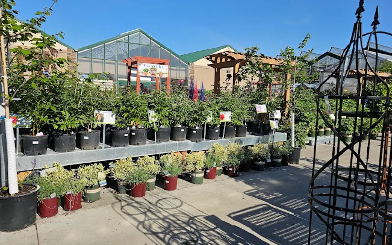 Beaver Bark Gift & Garden Center — Garden center