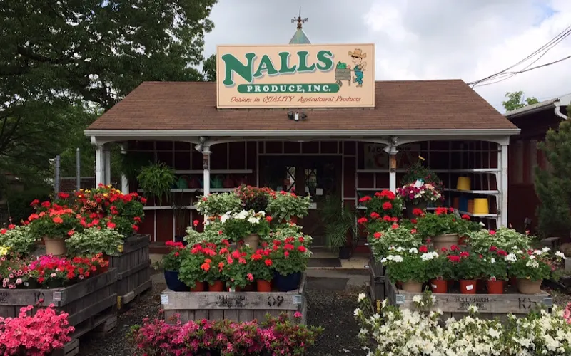 Nalls Produce & Garden Center — Garden center