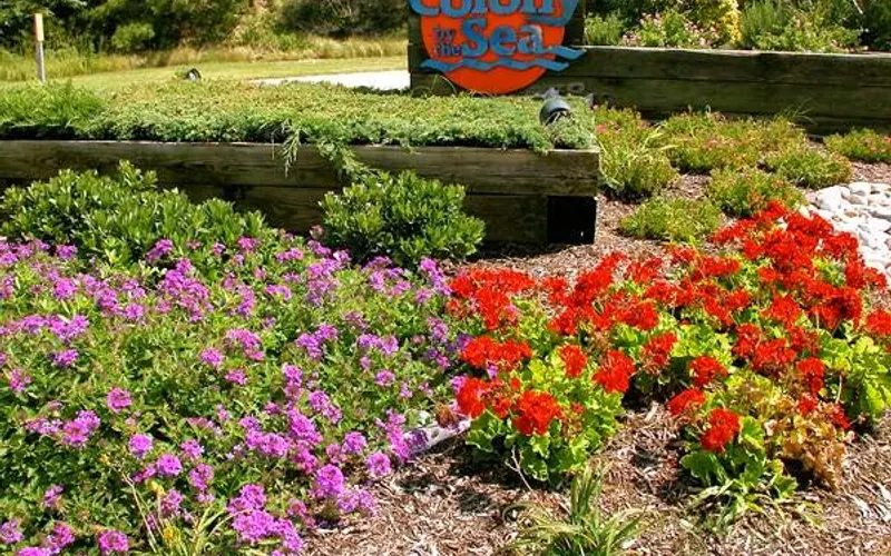 Julie's Outdoor Enhancement & Design — Landscape designer