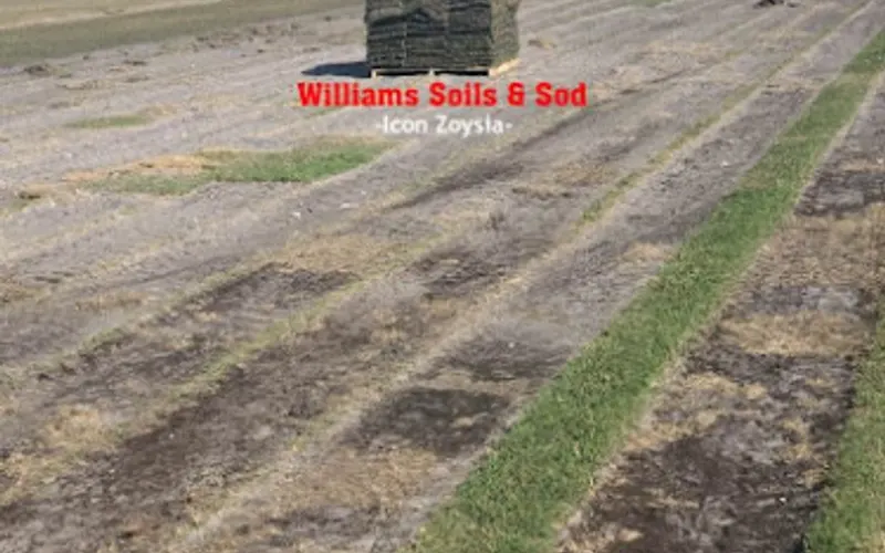 Williams Soils & Sod — Topsoil supplier