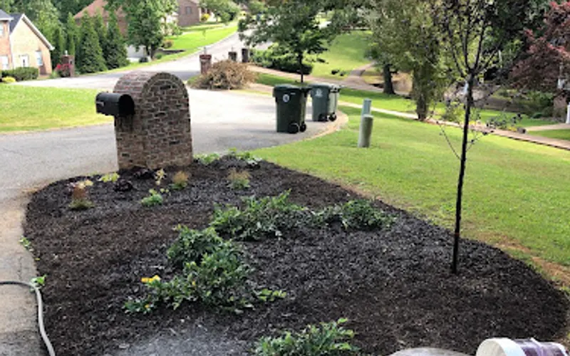 The Backyard Nursery — Garden center