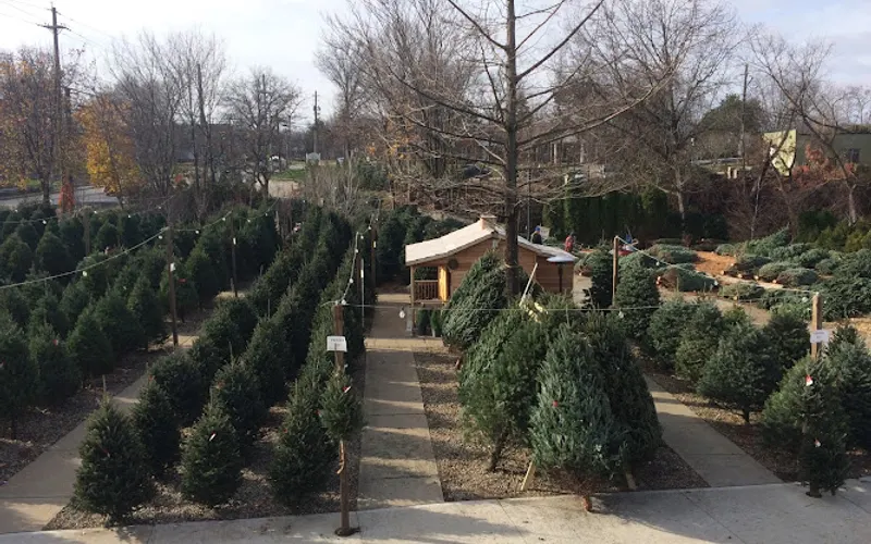 Cahoon Nursery — Landscaping supply store