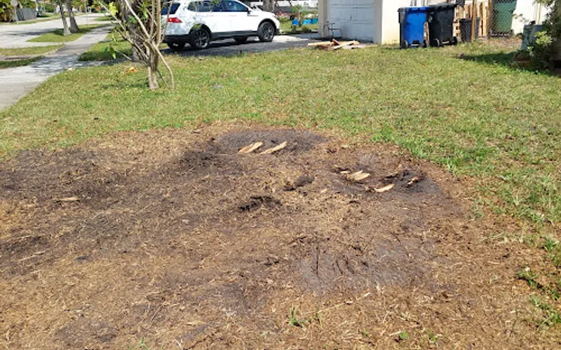 Xtream Stump Grinding — Tree service