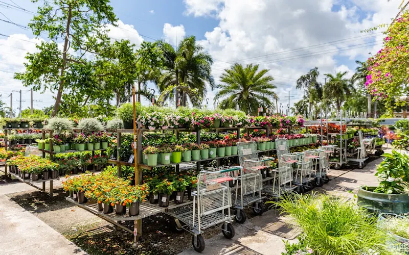 Living Color Garden Center — Garden center