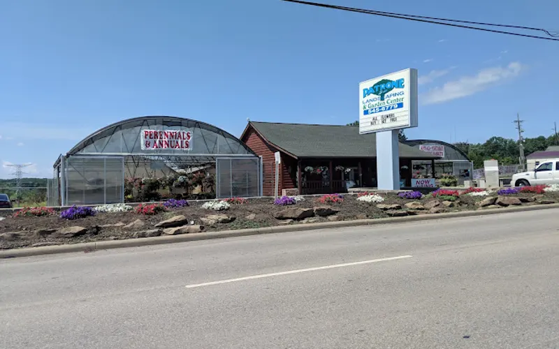 Patrone Brothers Garden & Lnds — Landscaper