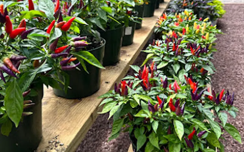 Zadlock Garden & Landscape Supply — Garden center