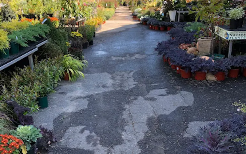 Copia Home and Garden — Landscaping supply store
