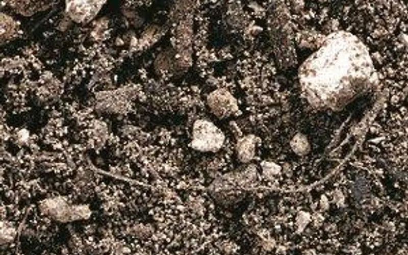 Pro-Gro Mixes & Materials — Landscaping supply store