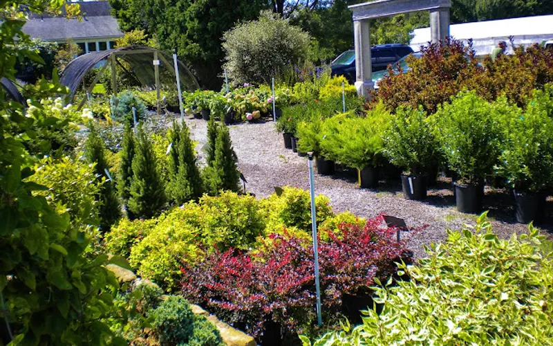 Michael Brothers Nursery — Plant nursery