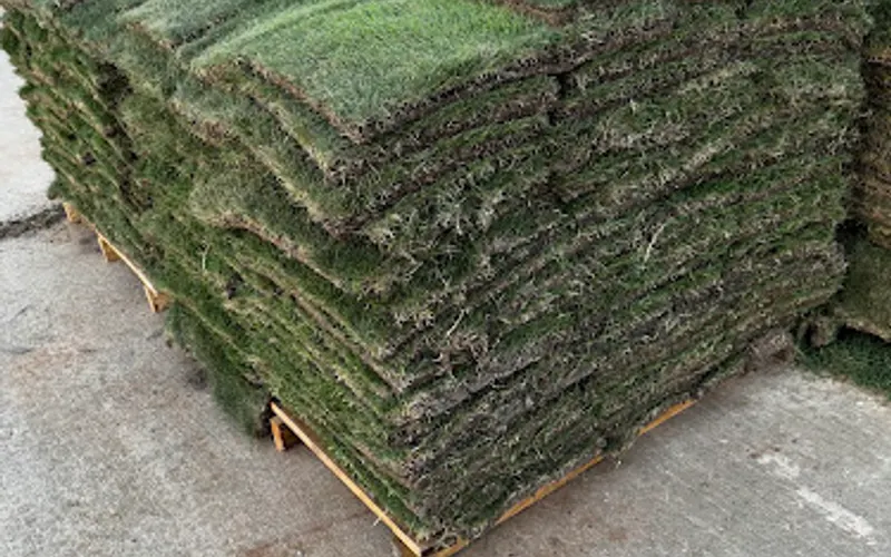 Servall Sod-Lewisville — Landscaping supply store