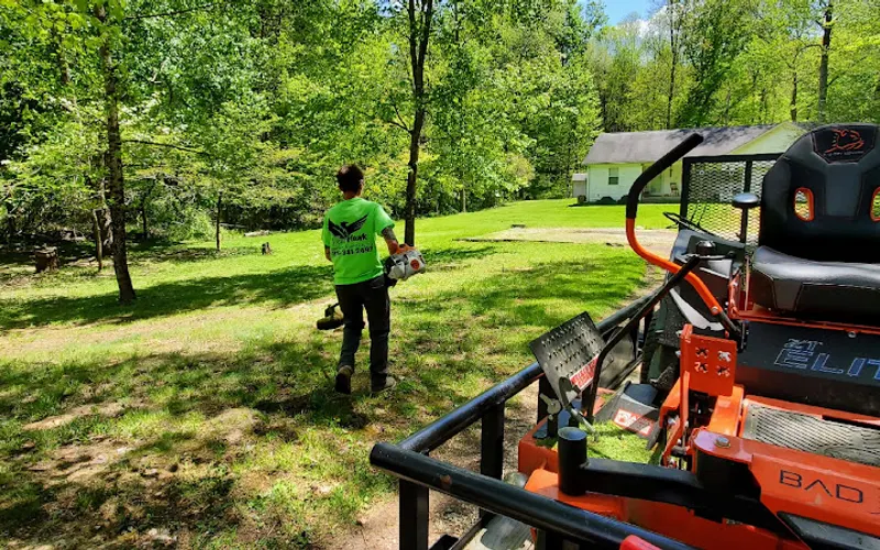 Leaf Hawk Lawncare & Landscaping — Lawn care service