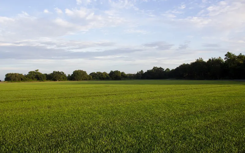 Sunshine Sod — Landscaping supply store