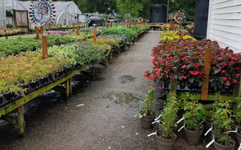 Allen's Nursery & Garden Center — Garden center