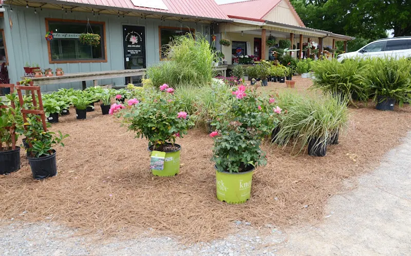 Hilltop Farms & Market — cafes