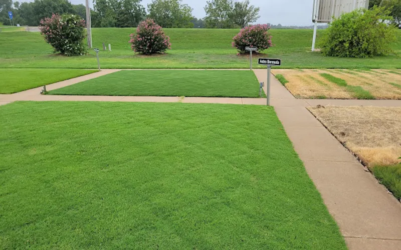 Advance Sod Sales Sod Store — Sod supplier