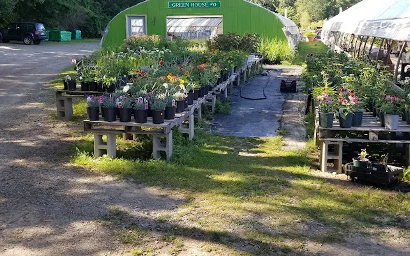 Hobbit Greenhouses — Garden center