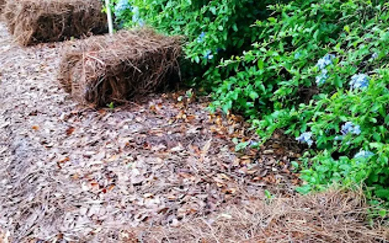 Pine Straw of Central Florida — Landscaping supply store