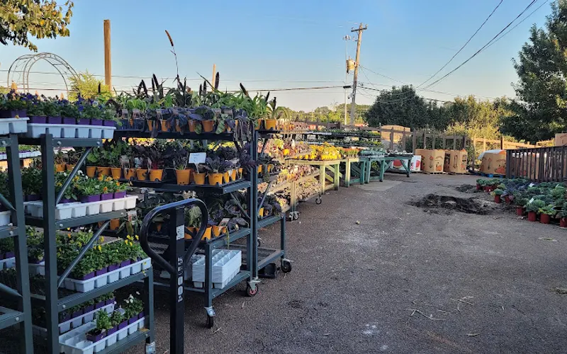 Country Gardens — Garden center