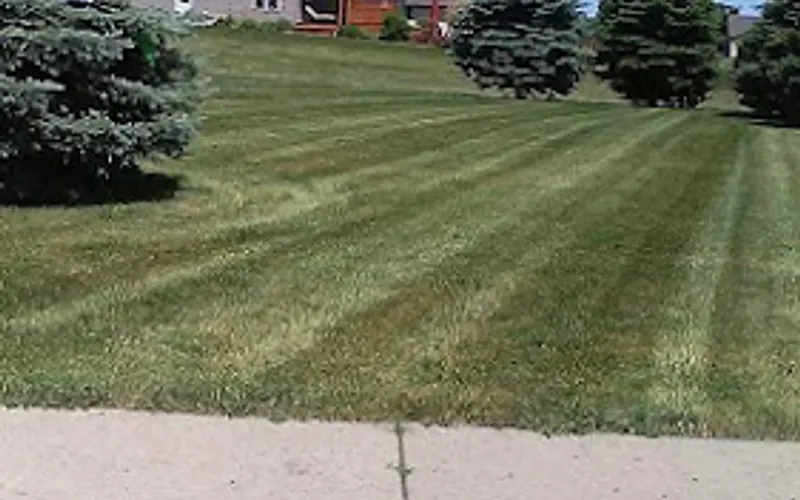 Cutting Edge Lawn Care — Lawn care service