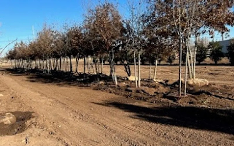 King Nursery — Garden center