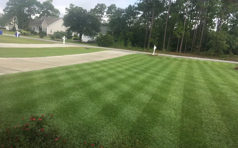 Waters Turf Farm — Turf supplier