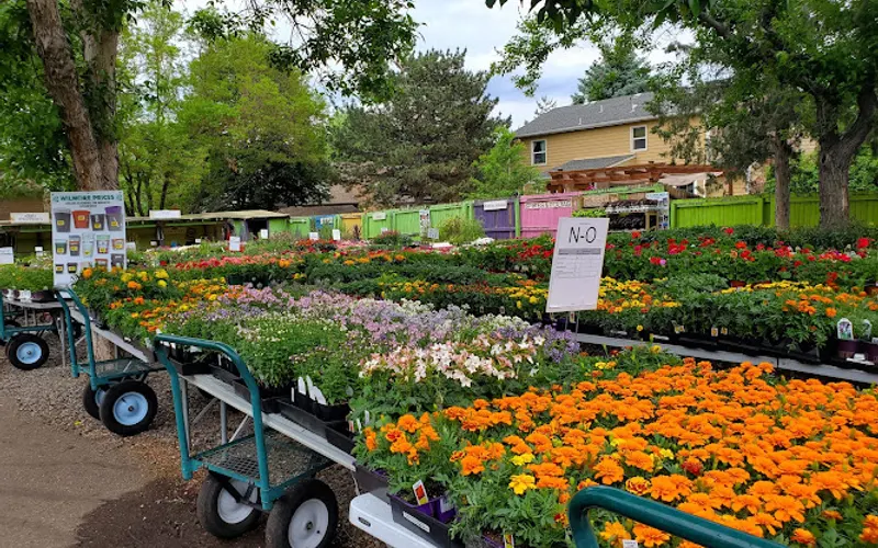 Wilmore Nursery Garden Center — Garden center