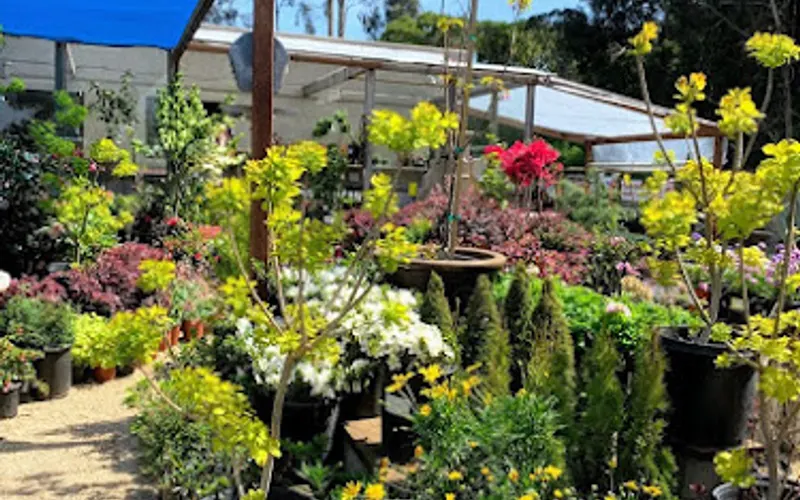 Hana Gardens Del Rey Oaks (Del Rey Oaks Gardens) — Garden center