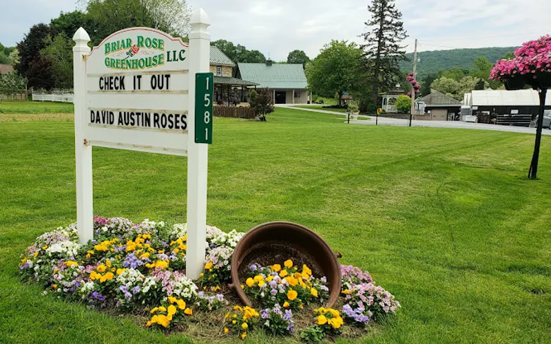 Briar Rose Greenhouse — attractions