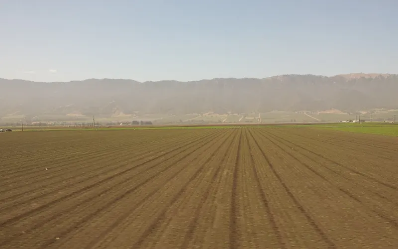 HealthySoil — Topsoil supplier
