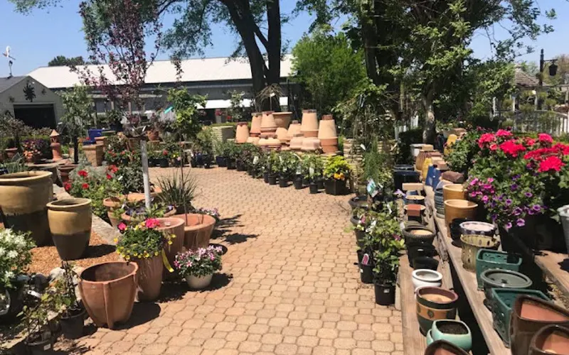 Dutch Landscaping — Landscape designer