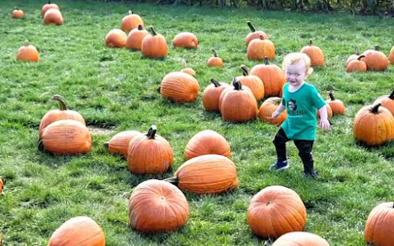 Secor Farms — Farm