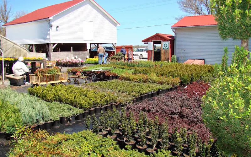 Jeff's Green Houses & Gift Shop — Garden center
