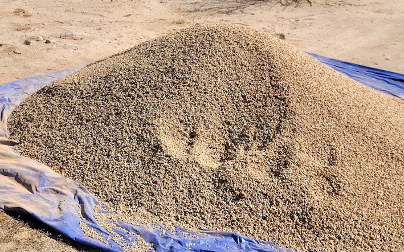 Sonoran Landscaping Materials — Landscaper