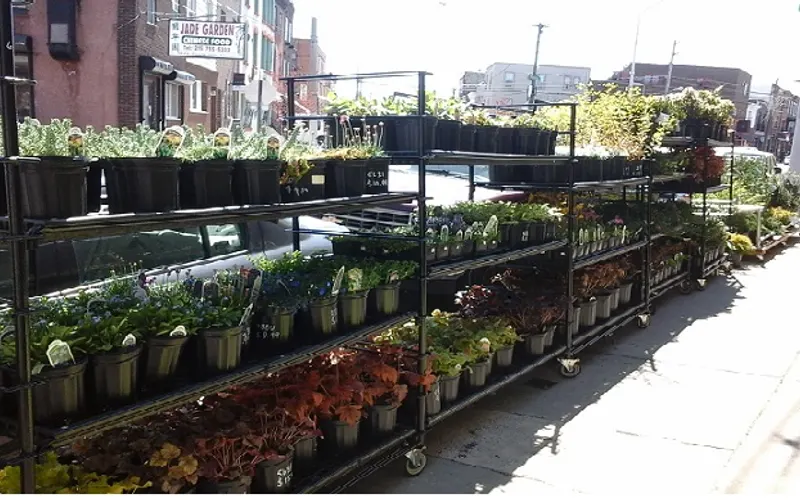 Urban Jungle — Garden center