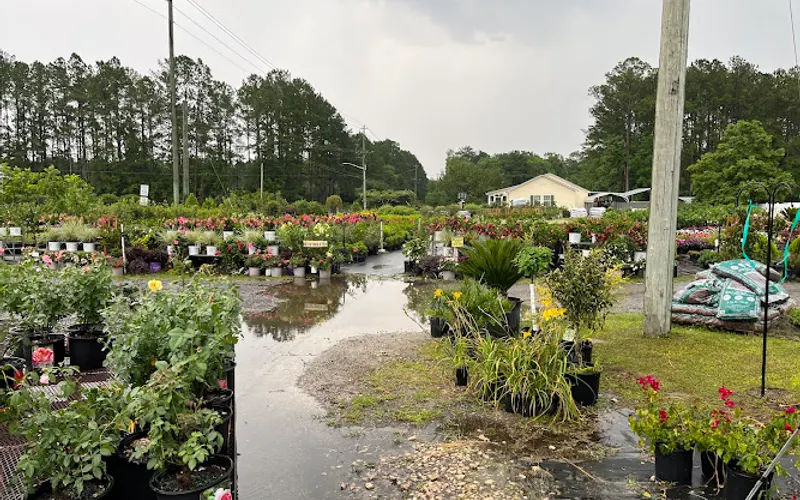 Barn Side Nursery, LLC — Wholesale plant nursery