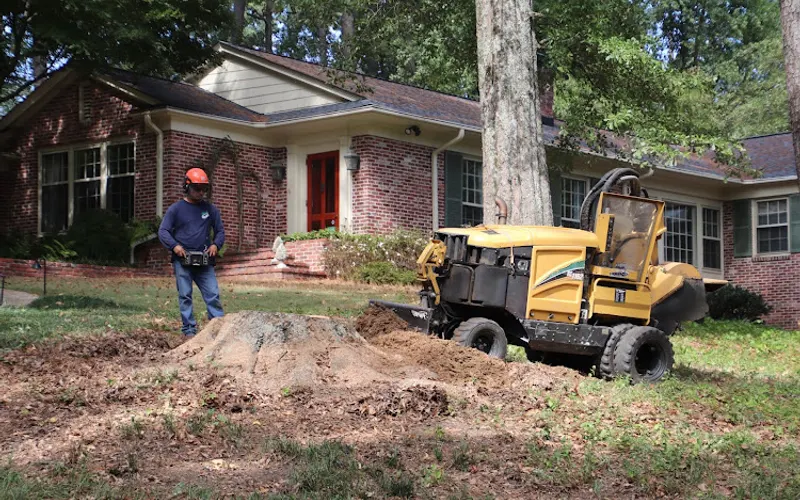 Grays Tree Services — Tree service