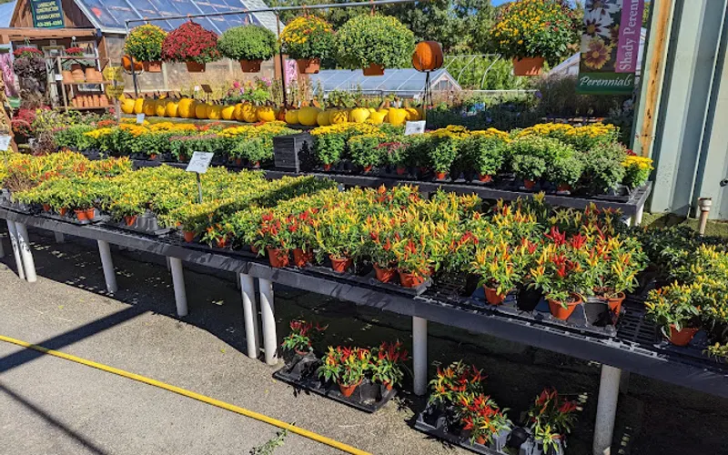 Post Road Materials — Garden center