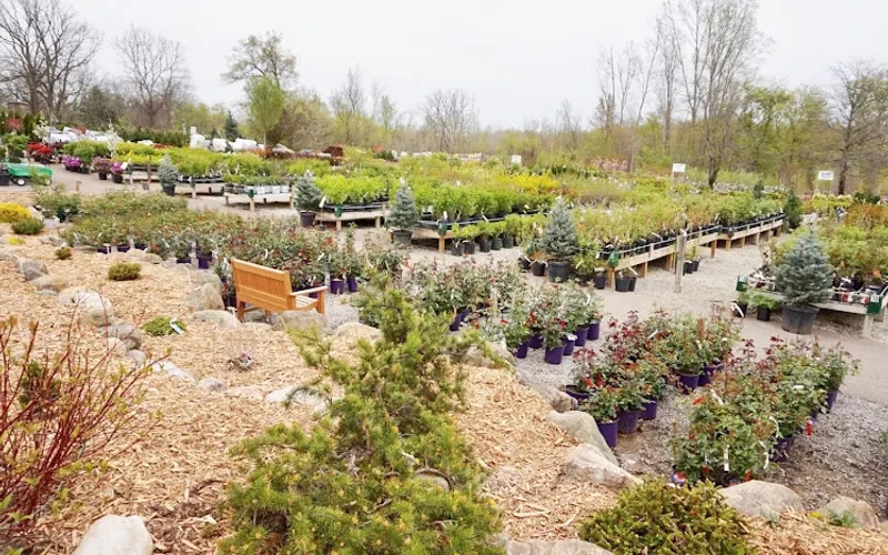 Van Atta's Greenhouse & Flower Shop — Garden center