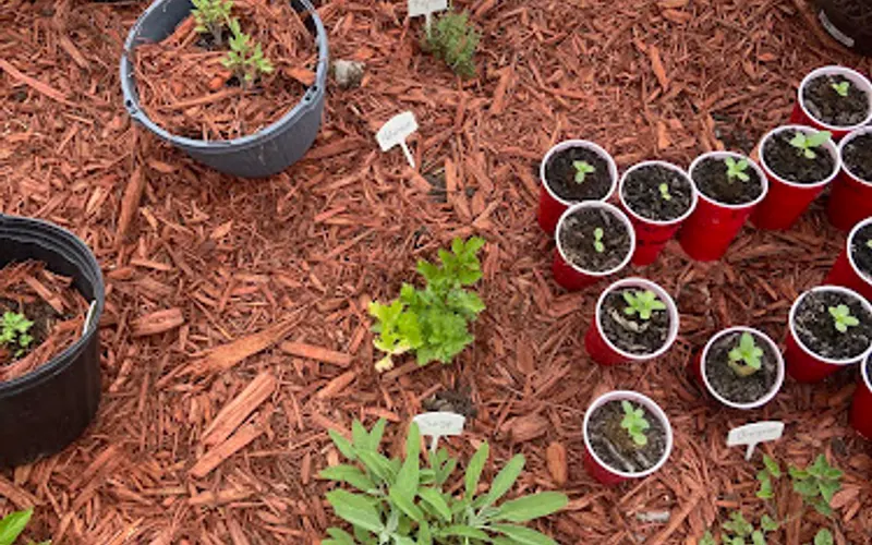 GoMulch Fast Landscape Solutions — Landscaping supply store